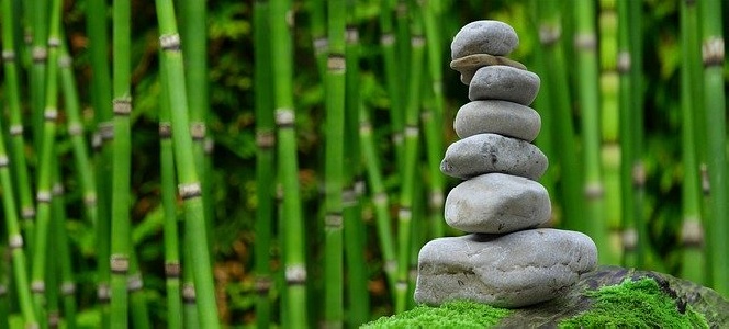 AREA CRESCITA PERSONALE ORIENTAMENTO PROMOZIONE DEL BENESSERE - PSICOLOGIA https://www.marianovellarossipsicologa.it/immagini_pagine/23/area-crescita-personale-orientamento-promozione-del-benessere---psicologia-2-300.jpg